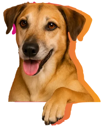 Telforce hond