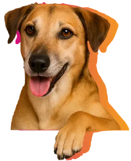 Telforce hond